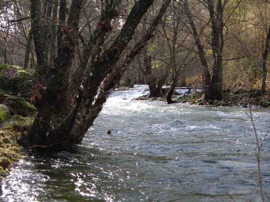 Apartamentos Rurales La Oropendola جاريز دي لا فيرا المظهر الخارجي الصورة